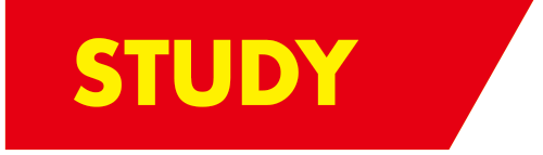 STUDY